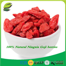 Chino ningxia secado wolfberries